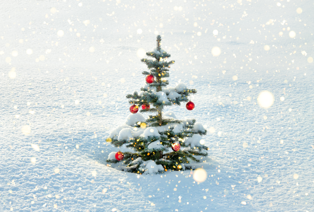 Image for Christmas in July - Celebrate the Season in Alpine Elegance